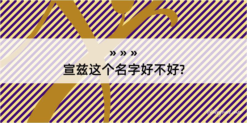 宣兹这个名字好不好?