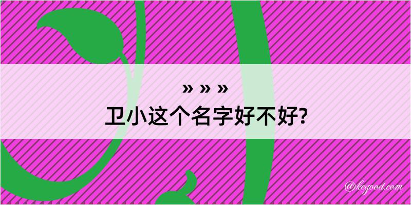 卫小这个名字好不好?