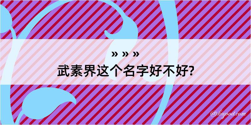 武素界这个名字好不好?