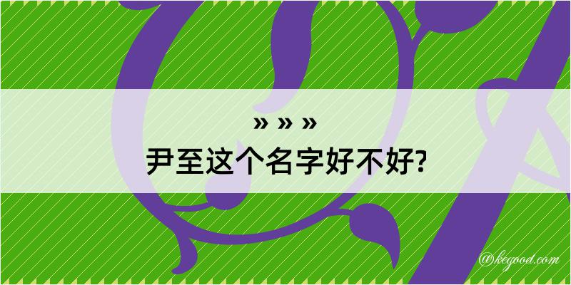 尹至这个名字好不好?