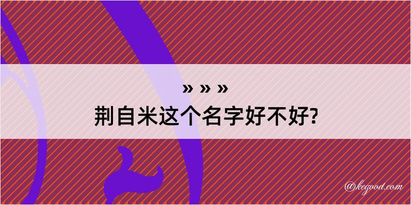 荆自米这个名字好不好?