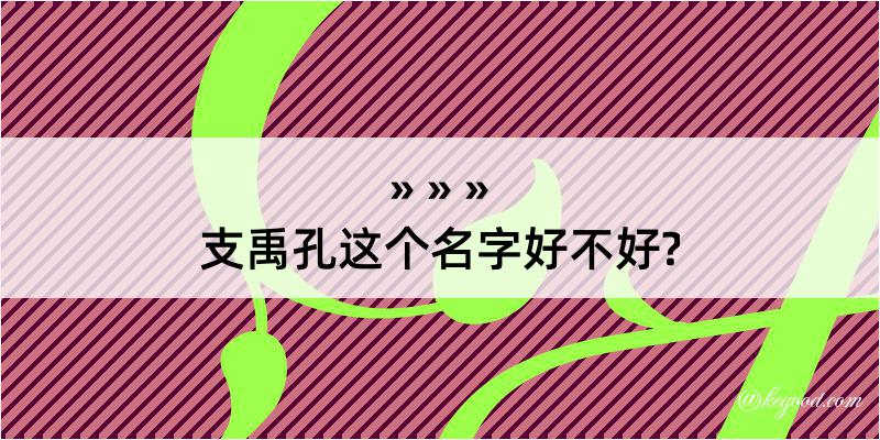 支禹孔这个名字好不好?