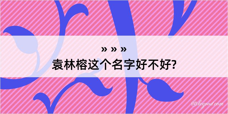 袁林榕这个名字好不好?