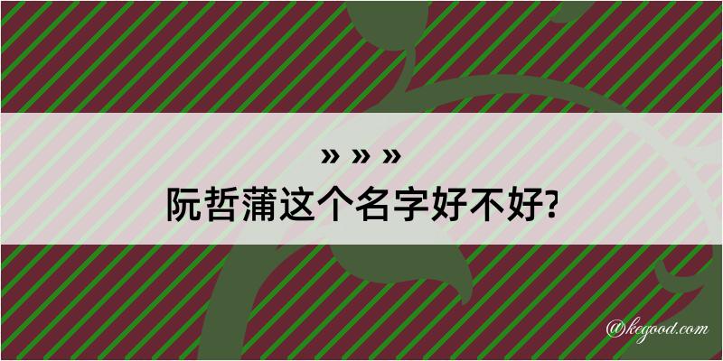 阮哲蒲这个名字好不好?