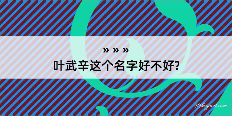 叶武辛这个名字好不好?