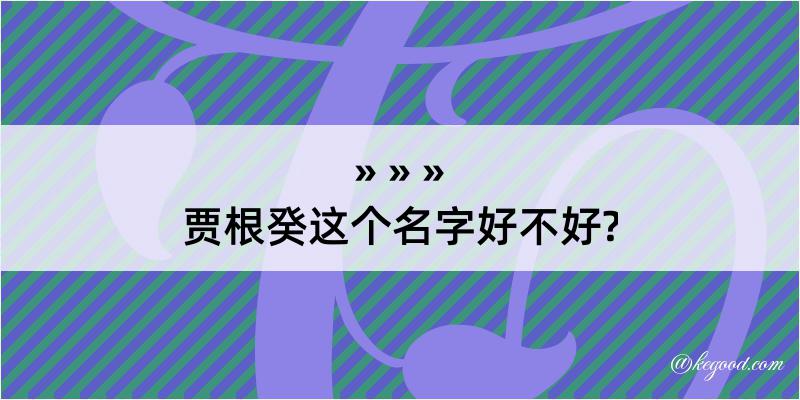 贾根癸这个名字好不好?