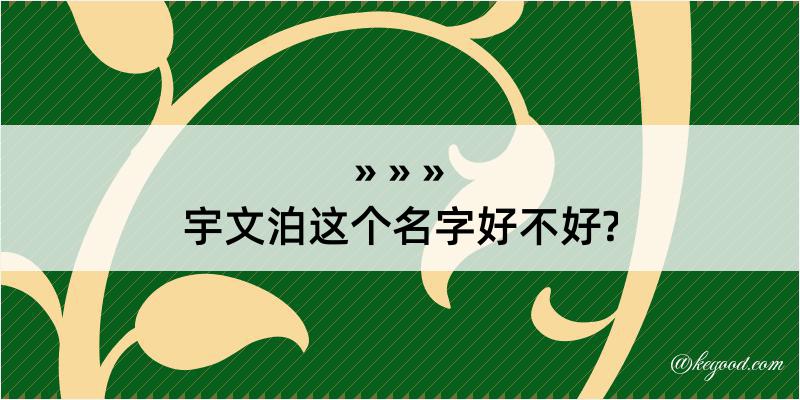 宇文泊这个名字好不好?