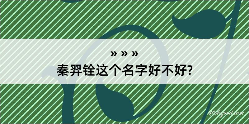 秦羿铨这个名字好不好?