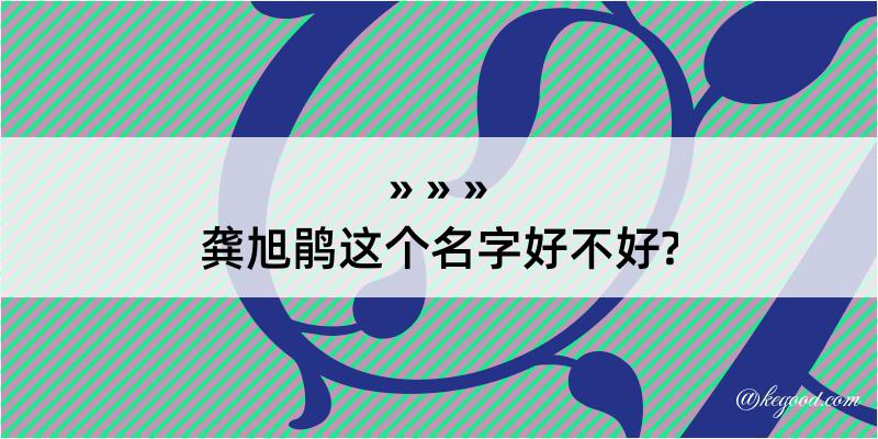 龚旭鹃这个名字好不好?