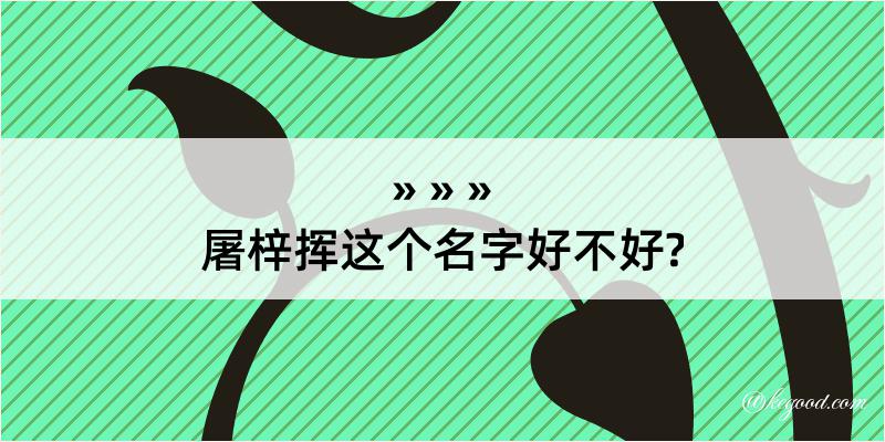 屠梓挥这个名字好不好?