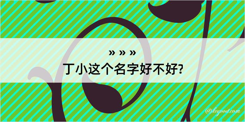 丁小这个名字好不好?