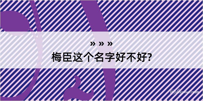 梅臣这个名字好不好?