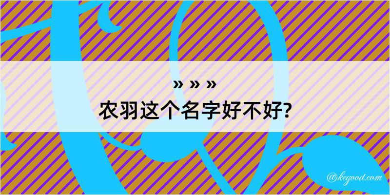 农羽这个名字好不好?