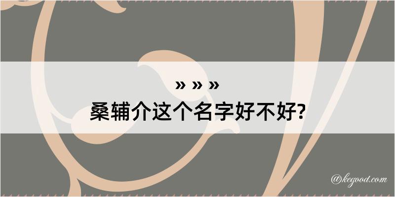 桑辅介这个名字好不好?