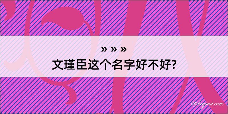 文瑾臣这个名字好不好?