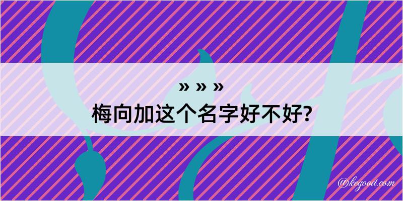 梅向加这个名字好不好?