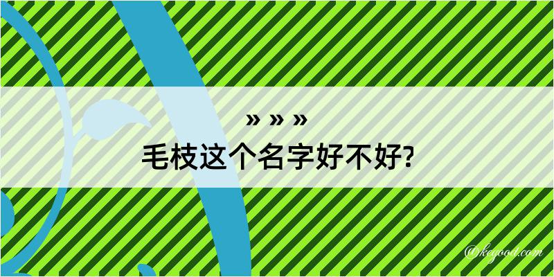 毛枝这个名字好不好?