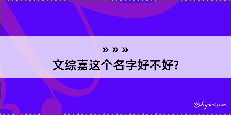 文综嘉这个名字好不好?