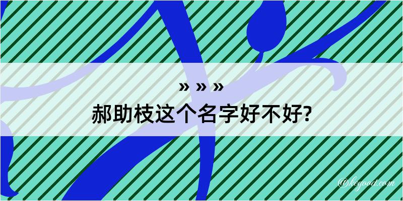 郝助枝这个名字好不好?