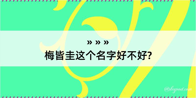 梅皆圭这个名字好不好?