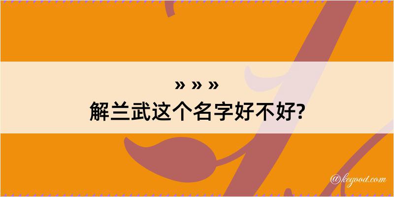 解兰武这个名字好不好?