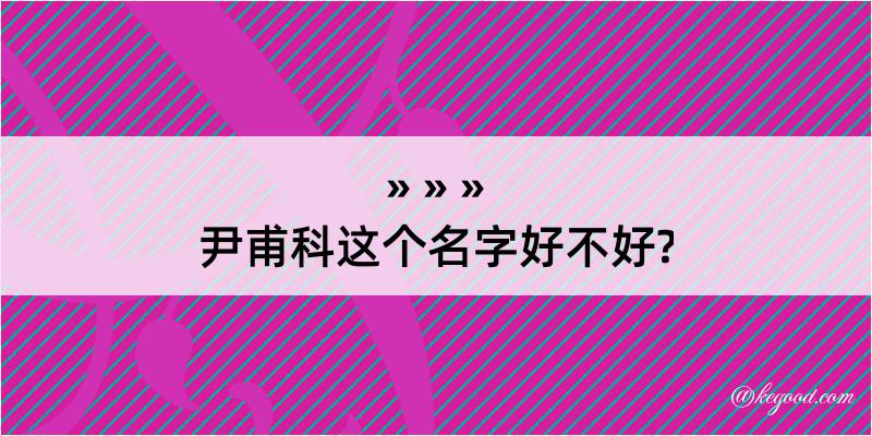 尹甫科这个名字好不好?