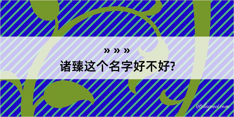 诸臻这个名字好不好?