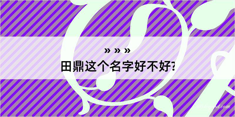 田鼎这个名字好不好?