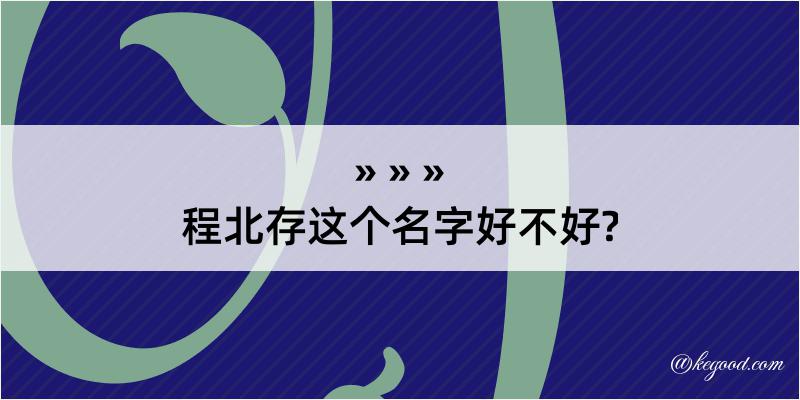 程北存这个名字好不好?