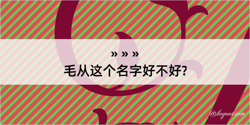 毛从这个名字好不好?