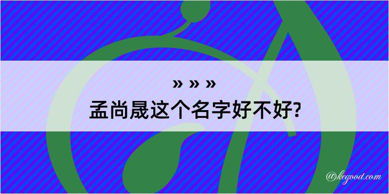 孟尚晟这个名字好不好?