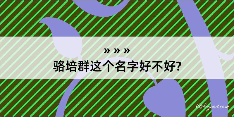 骆培群这个名字好不好?