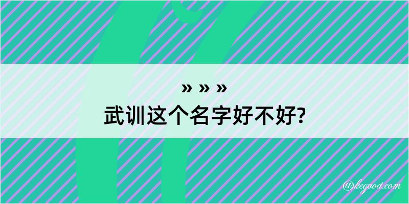 武训这个名字好不好?