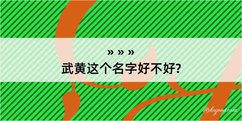 武黄这个名字好不好?