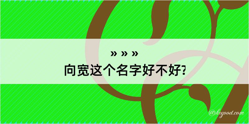 向宽这个名字好不好?