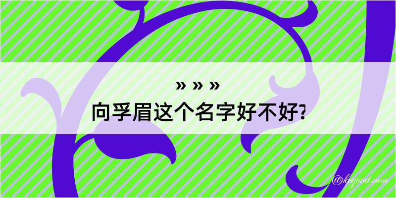 向孚眉这个名字好不好?