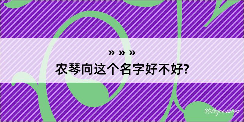 农琴向这个名字好不好?