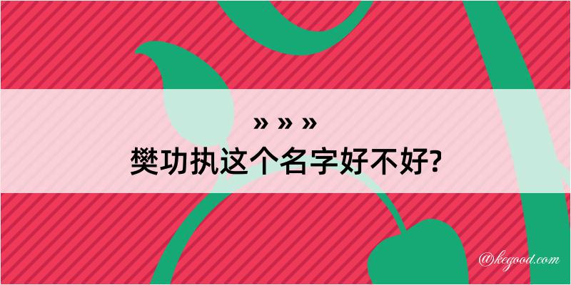 樊功执这个名字好不好?