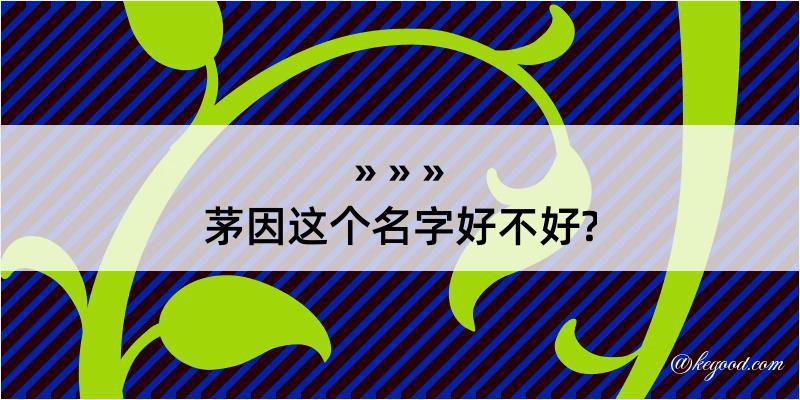 茅因这个名字好不好?