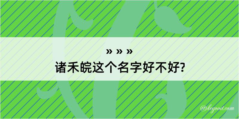 诸禾皖这个名字好不好?