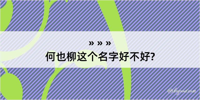 何也柳这个名字好不好?