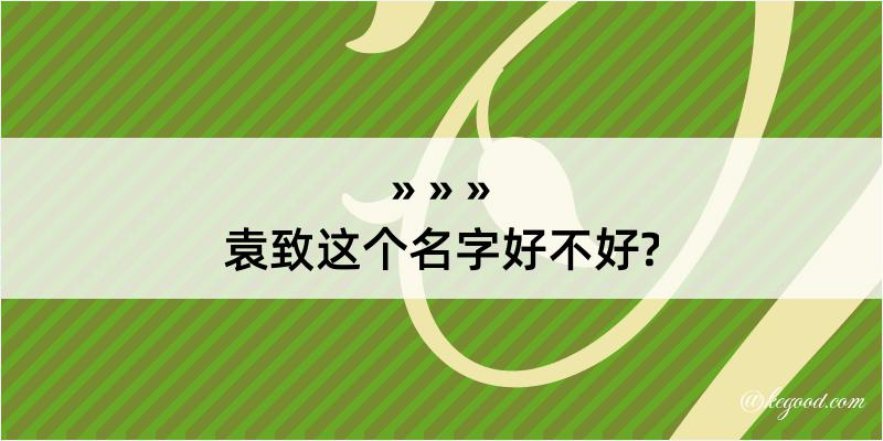 袁致这个名字好不好?