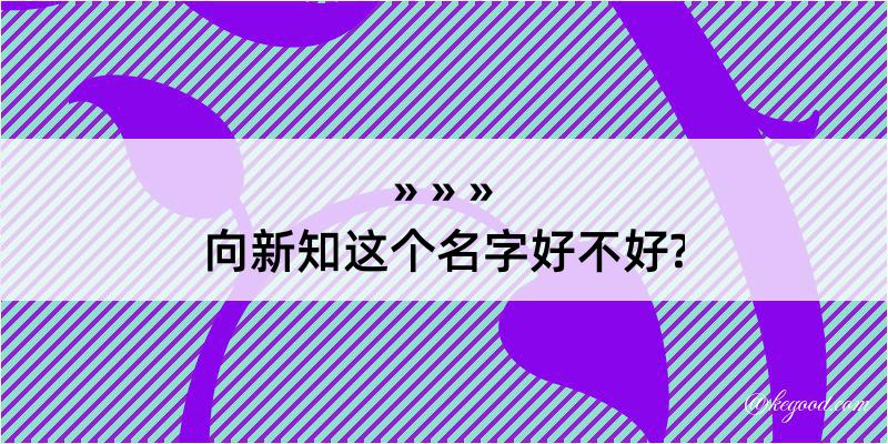 向新知这个名字好不好?