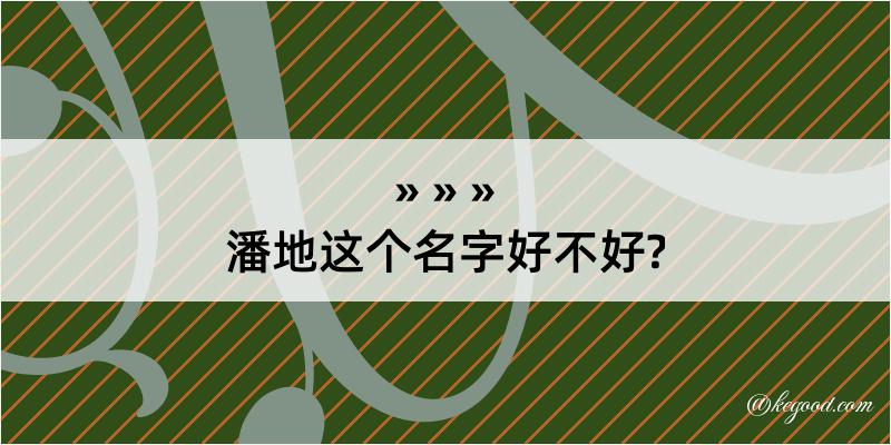 潘地这个名字好不好?