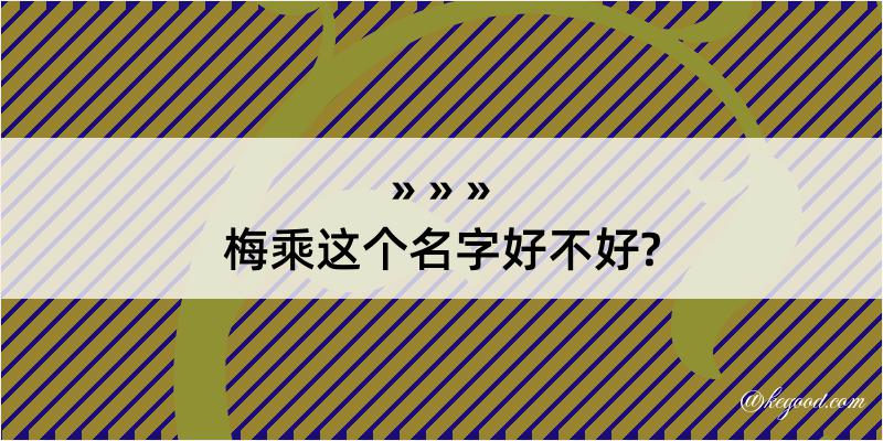 梅乘这个名字好不好?