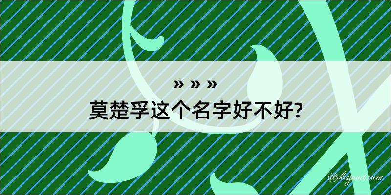 莫楚孚这个名字好不好?