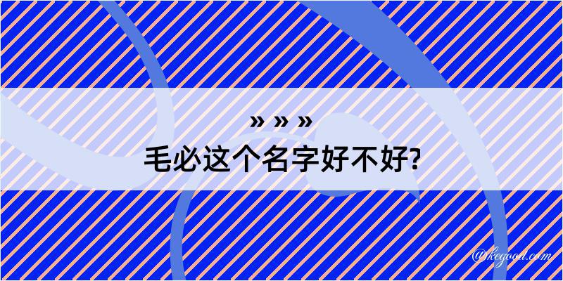 毛必这个名字好不好?