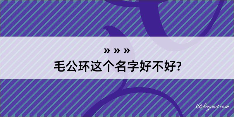 毛公环这个名字好不好?