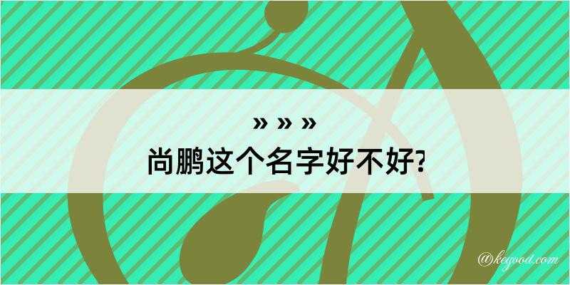 尚鹏这个名字好不好?