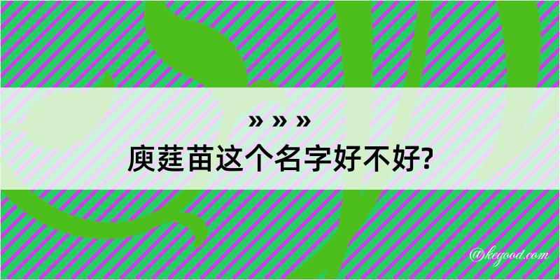 庾莛苗这个名字好不好?